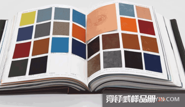 活頁式色卡樣本冊(cè)印刷  第3張